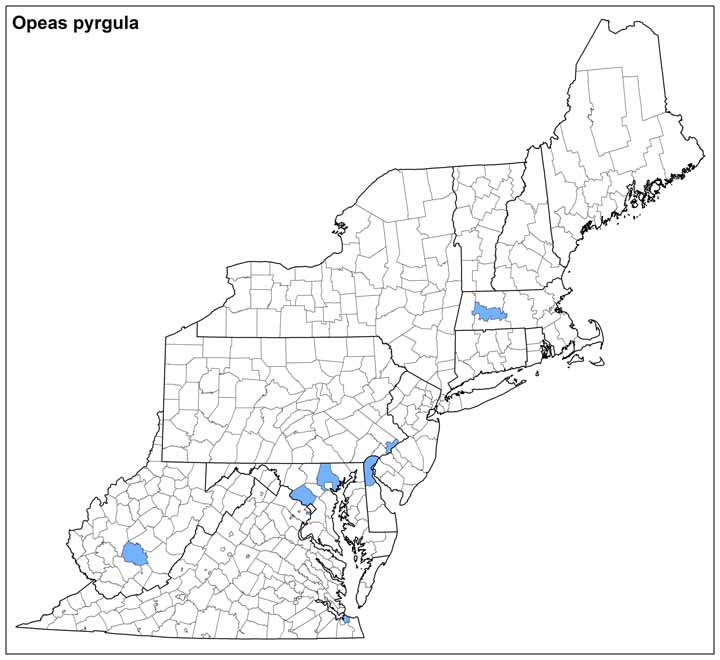 Opeas pyrgula Range Map